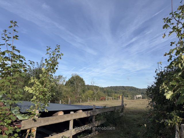 Gewerbe in Schönau – Bild 5