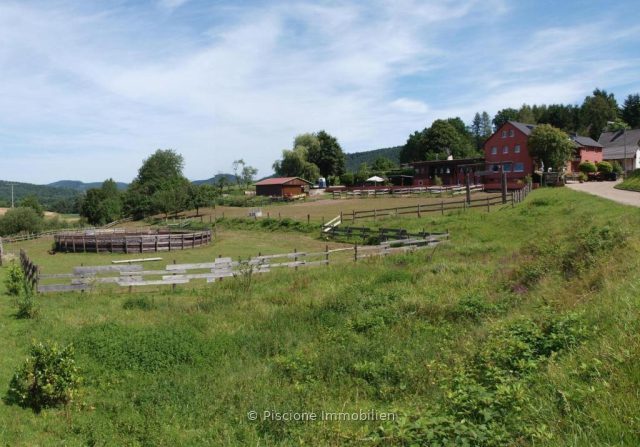 Gewerbe in Schönau – Bild 31